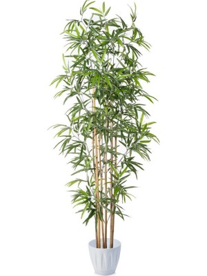 Nettenevime Yapay Bambu Ağacı 5 Sopalı 2 Metre Yoğun Yapraklı ***şok ***