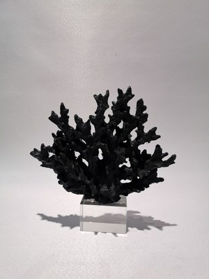 Art Home  Kristal Kaideli Siyah Mercan