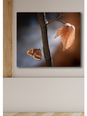 Hediyeler Kapında 50X70 Kelebek Kanvas Duvar Tablo