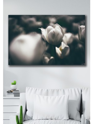 Hediyeler Kapında 50X70 Lale Kanvas Duvar Tablo