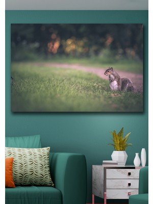 Hediyeler Kapında 50X70 Sincap Kanvas Duvar Tablo