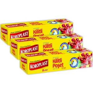 Kilitli Poşet Büyük Boy 26X28 cm 10 Adet - 3'lü