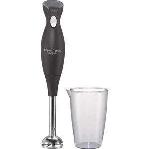 Tarçın S El Blenderı