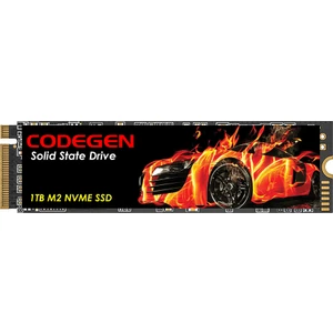 Cdg-1TB-Nvme 1TB 2000MB-1000MB Nwme M.2 SSD