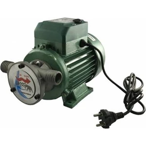 1" 220V Profesyonel Sıvı Aktarma Pompası