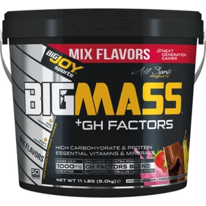 Bigjoy Sports Bigmass Mass Gainer Gh factors Karbonhidrat Protein Mix Aroma Kova 5000g