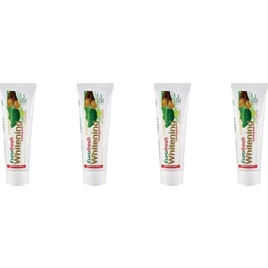 Diş Macunu Eurofresh Misvaklı 112 gr 4 Adet