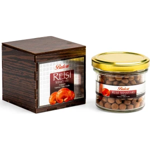 Reishi Mantarı (Ganoderma Lucidum) 300MG 200 Tablet