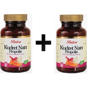 2 Ad.kudret Narı Propolis,kapsül 300 Mg 60 Kapsül