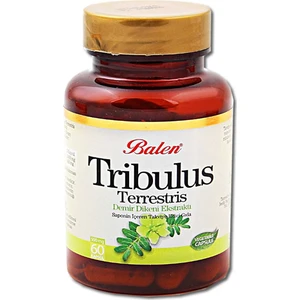 Tribulus Terrestris Kapsül 500 Mg x 60 Kapsül x 3 Adet