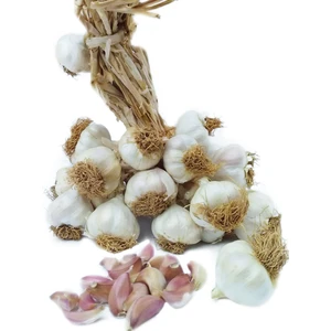 - Taşköprü Sarımsak 1 kg Orta Boy