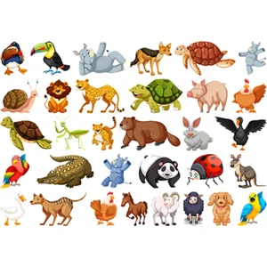 Kt Decoration Hayvanlar Set Xxl Duvar Sticker