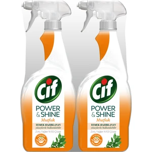 Power & Shine Mutfak Sprey Temizleyici 750 ml 2’li Set