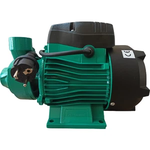 Italia QB80 Santrifüj Pompa 1 hp  Bakır Sargı