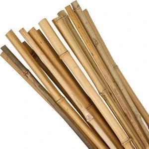 Bambu Sopası 120 cm 18-20MM Bambu Çubuğu 5 Adet