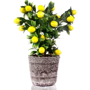 Yapay Çiçek Gri Seramik Saksıda Limon Ağacı