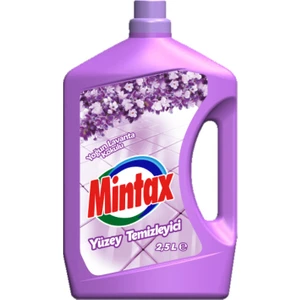 Yüzey Temizleyici 2.5 L