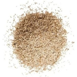 4m Gold %30 Su Tasarruflu Çim Tohumu 1 Kg