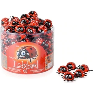 Ladybird Fındıklı Krema Dolgulu Sütlü Kokolin