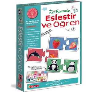 Diy-Toy Eşleştir Öğren Zıt Kavramlar
