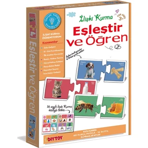 Diy-Toy Eşleştir Öğren İlişki Kurma