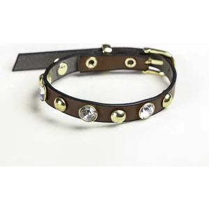Kahverengi Rivet + Taşlı Rivetli Soft 1 cm Gold Metal Tokalı Kedi Tasması