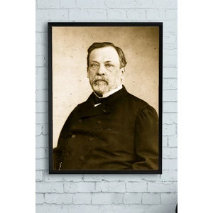 Louis Pasteur Bilimsel Çerçeveli Tablo 2  21 x 30 cm