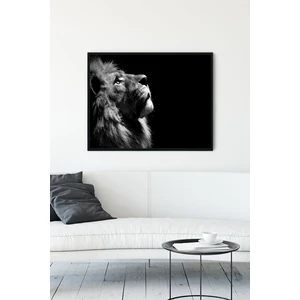 Aslan Motivasyon Çerçeveli Tablo 5  21 x 30 cm