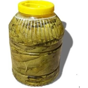 Antep Köy Ürünleri Salamura Asma Üzüm Yaprağı 5 kg