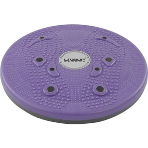 LS3165B Magnetic Disc Twister