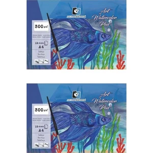 Alex Schoeller A4 Art Suluboya Kağıdı Ekstra White 300 Gram 12 Yaprak 2'li