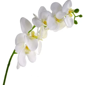 Yapay Çiçek Beyaz Orkide Uzun Dal 90 cm Orkide