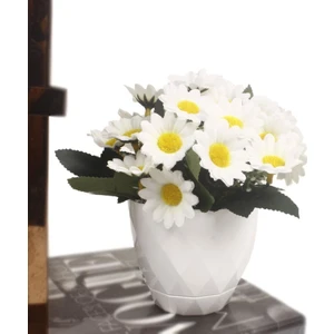 Yapay Çiçek Beyaz Saksıda Papatya Doğal Kır Papatyası