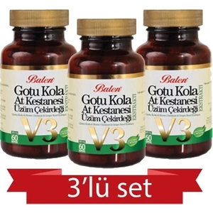 Gotu Kola-At Kestanesi-Üzüm Çekirdeği 355 mg 60 Kapsül 3 Ad.