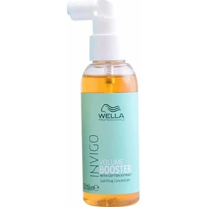 Professionals Volume Booster 100 ml