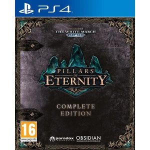 Pillars Of Eternity Complete Edition PS4 Oyun