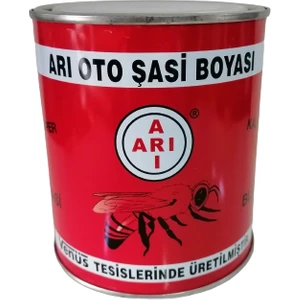 Şasi Boya 850 gr