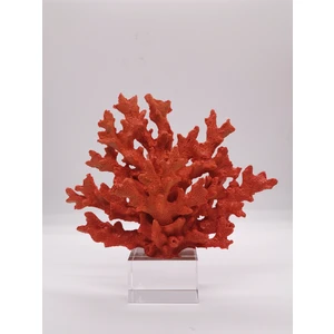 Art Home  Kristal Kaideli Turuncu Mercan