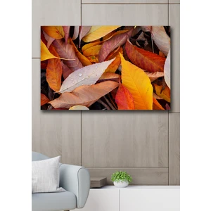 Hediyeler Kapında 50X70 Sonbahar Kanvas Duvar Tablo