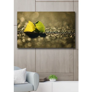 Hediyeler Kapında 50X70 Yağmur Kanvas Duvar Tablo