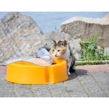Cankap Yere Sabitlenebilir Outdoor Kedi Kopek Mama Kabi Fiyati Cankap Yere Sabitlenebilir Outdoor Kedi Kopek Mama Kabi Fiyati