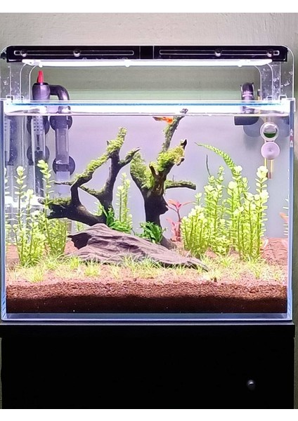 80 cm 66 W Bitkili Akvaryum Armatürü