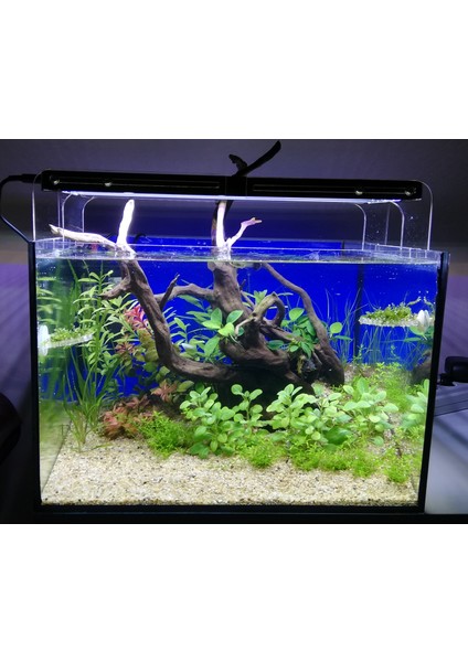 80 cm 66 W Bitkili Akvaryum Armatürü