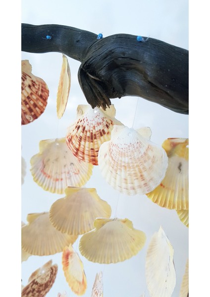 Renkli Deniz Kabuğu Sarkıtlı Doğal Ağaç Askılı El Yapımı Rüzgar Çanı 40x60 cm - RZG22 modelleri