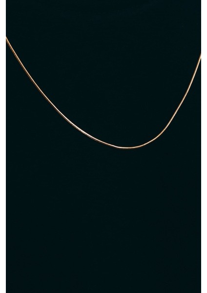 Erkek Zincir Gold Çelik Kolye fiyatları