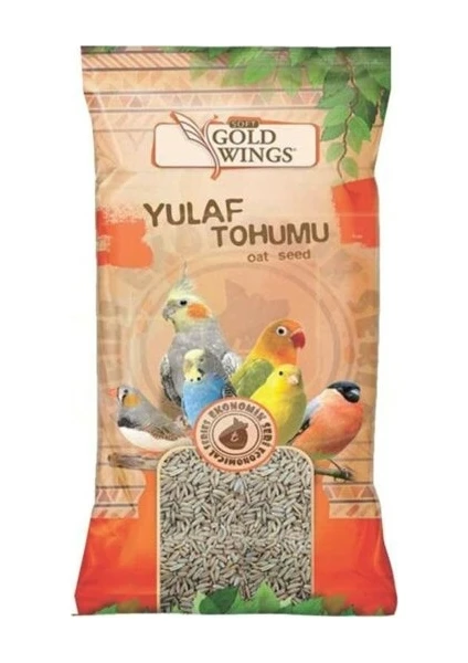 Gold Wings Yulaf Tohumu 300 gr x 2 Adet