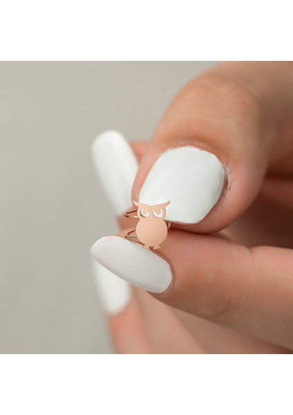 Gümüş Baykuş Kıkırdak Küpe Rose fiyatları