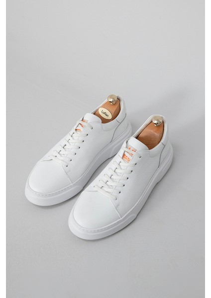Tommy Erkek Sneaker Ayakkabı Beyaz