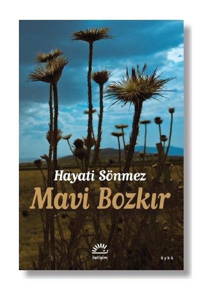 Mavi Bozkır - Hayati Sönmez