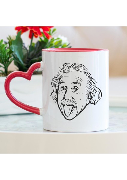 Einstein Kalpli Kupa Bardak fiyatları